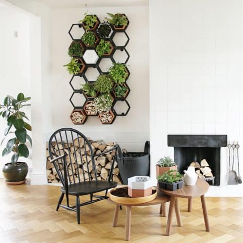 Living wall kit from Chalk & Moss