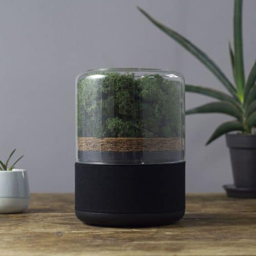 Briiv sustainable and natural air purifier on a table next to some plants