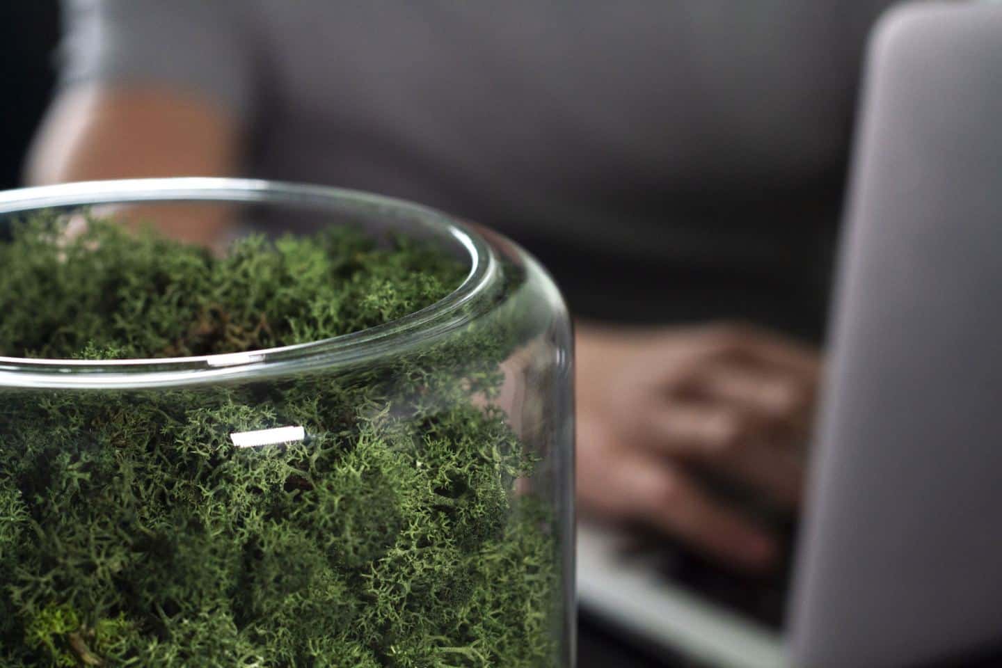 The Briiv air purifier seen from above with a man working on a laptop in the background