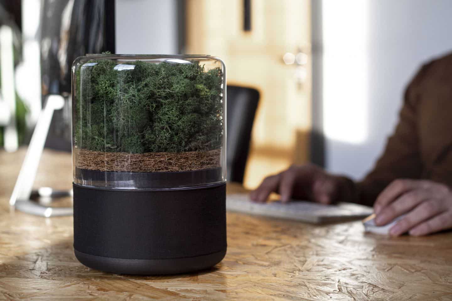 The Briiv air purifier on a wooden desk next to a man working on a computer