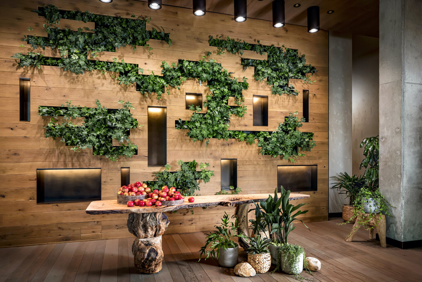 The living wall at 1 Hotel Toronto, a biophilic hotel that  celebrates the beauty of Toronto’s natural environment