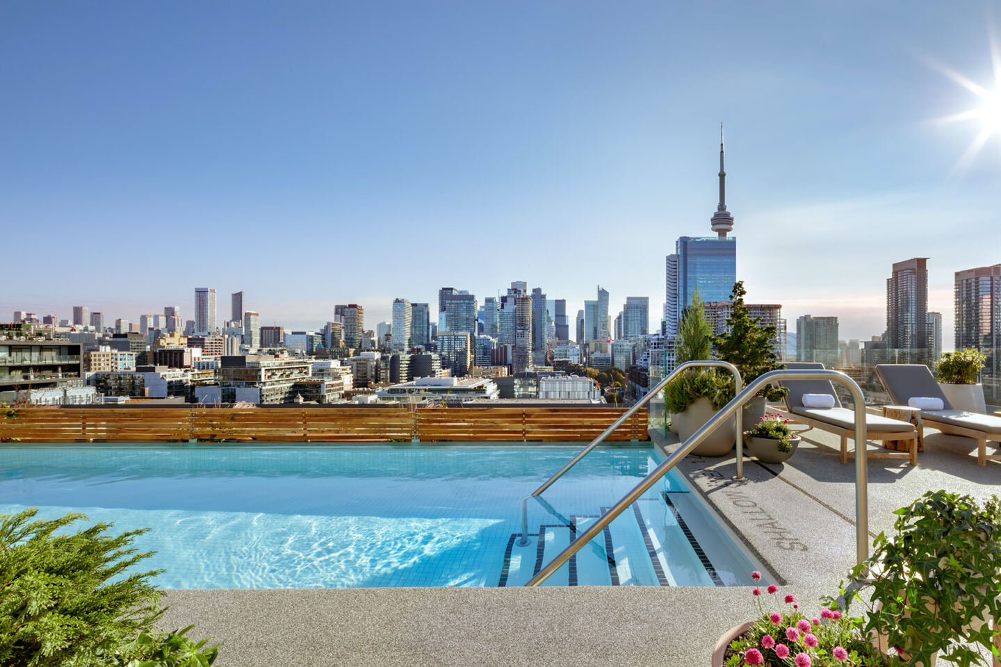 The rooftop pool at 1 Hotel Toronto