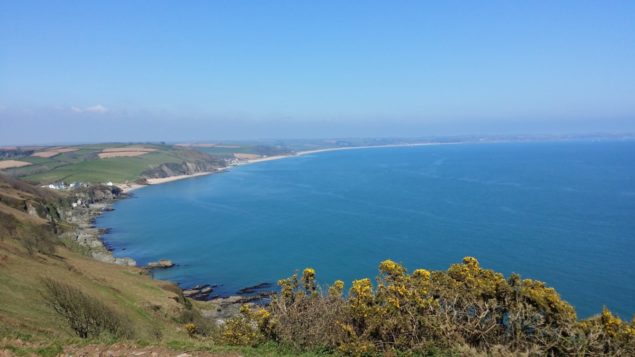 Coastline South Devon