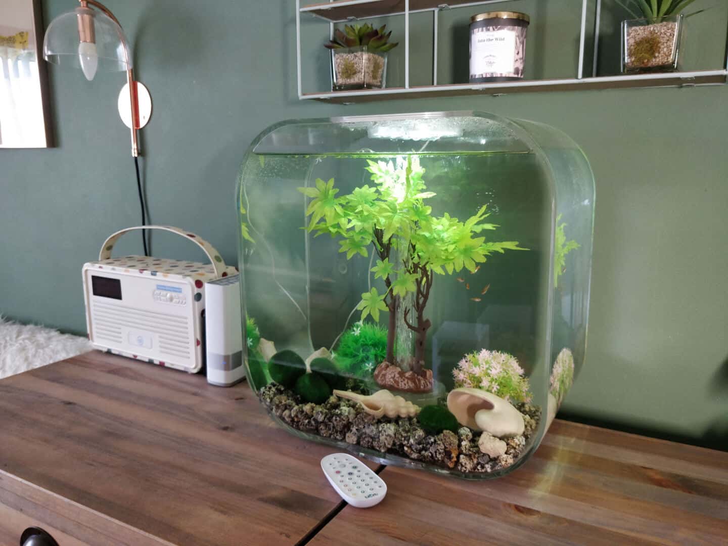 30l biOrb Life fish tank on a sideboard in a living room with green walls behind