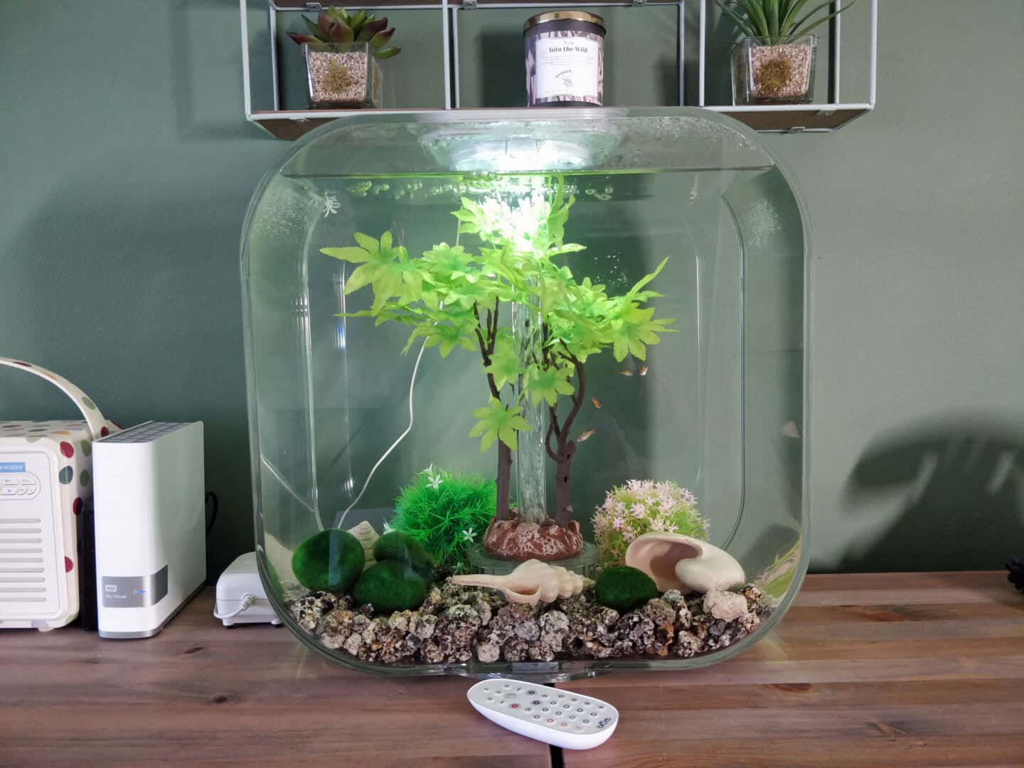 30l biOrb Life fish tank on a sideboard in a living room with green walls behind