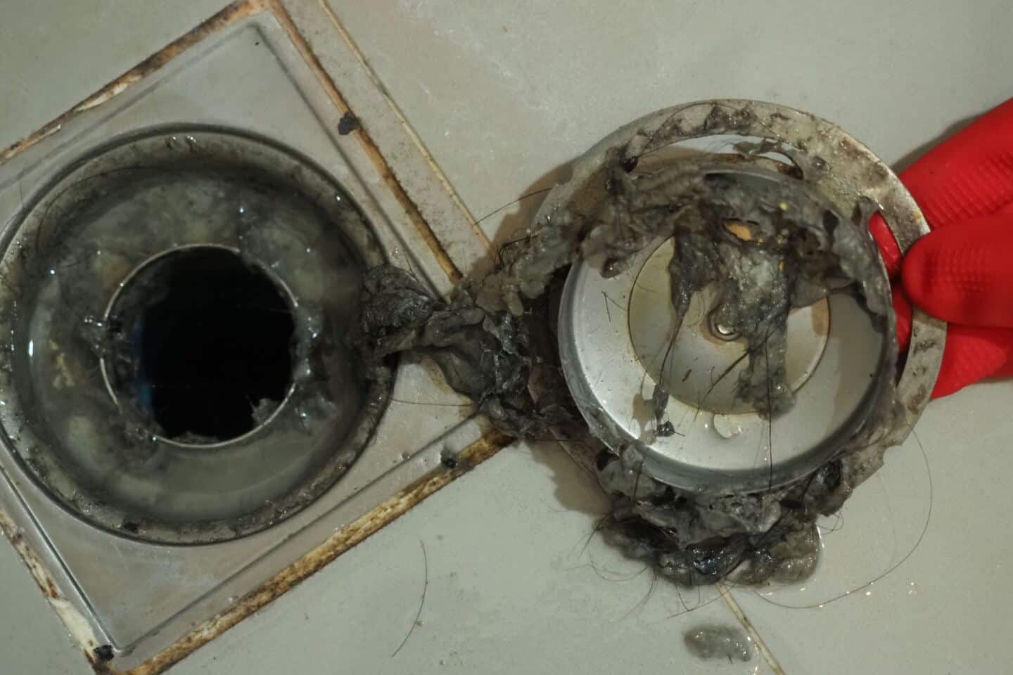 A shower drain full of hair and grime that requires plumbing maintenance