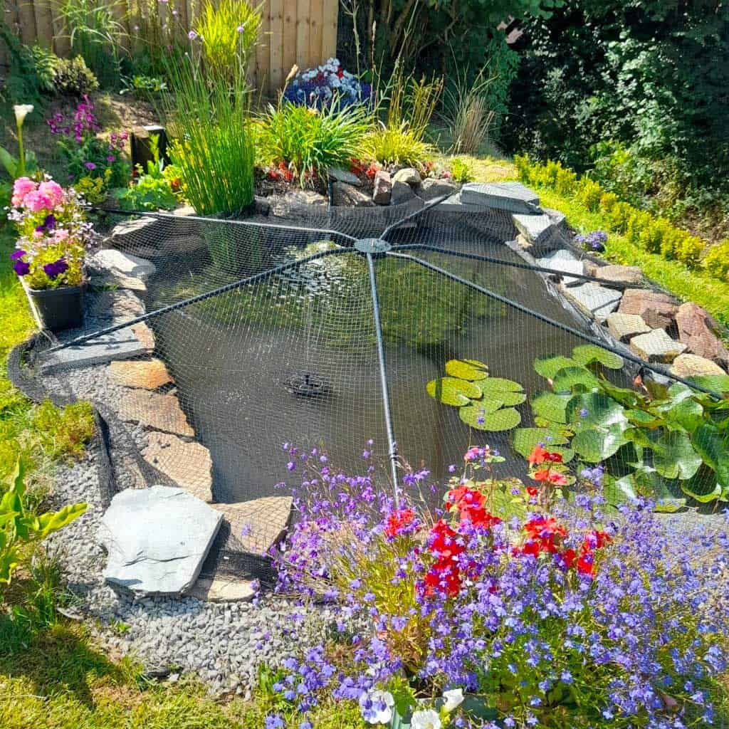 A pond covered in netting