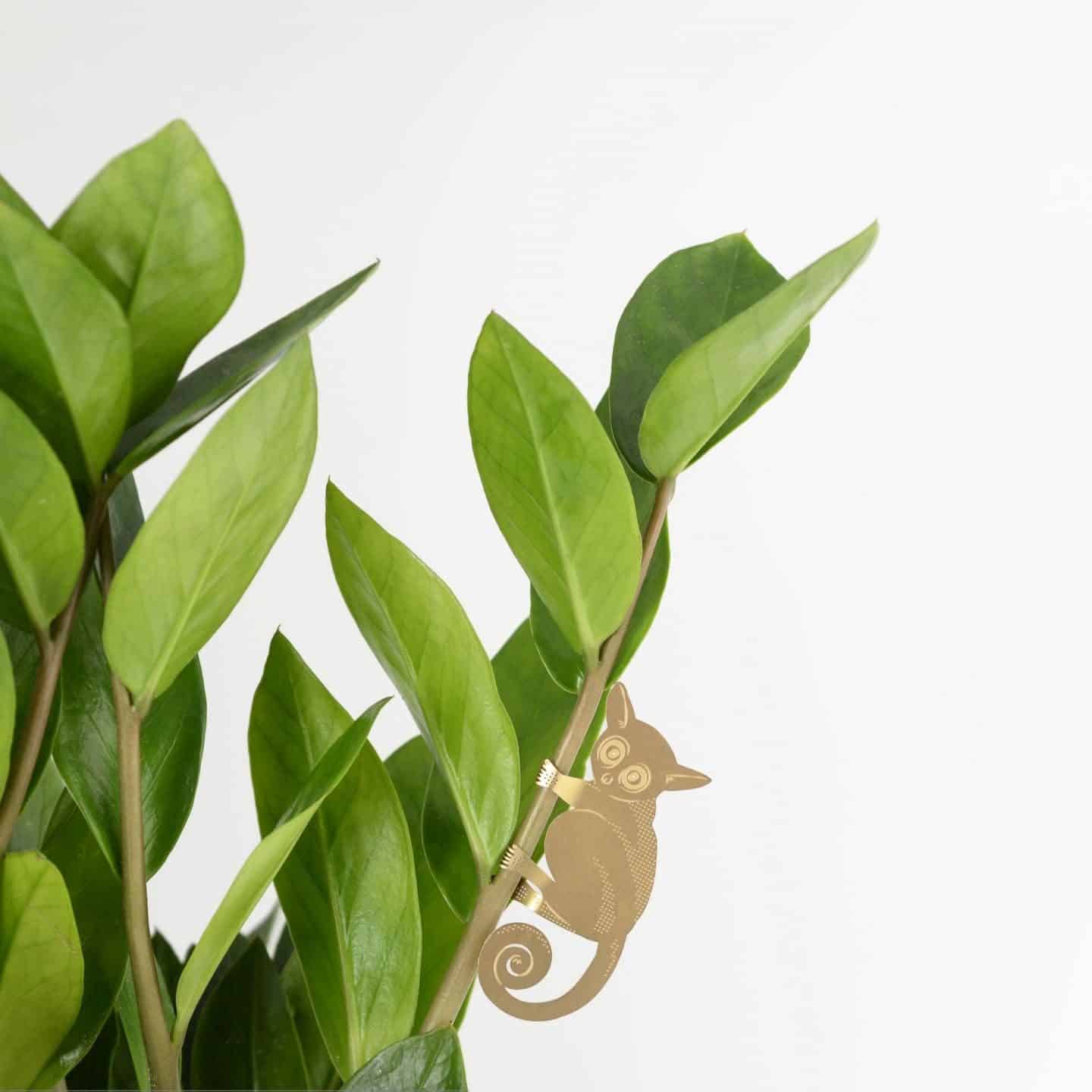 Gifts for plant lovers. These brass animal decorations from Another Studio can be hung on trees and plants 