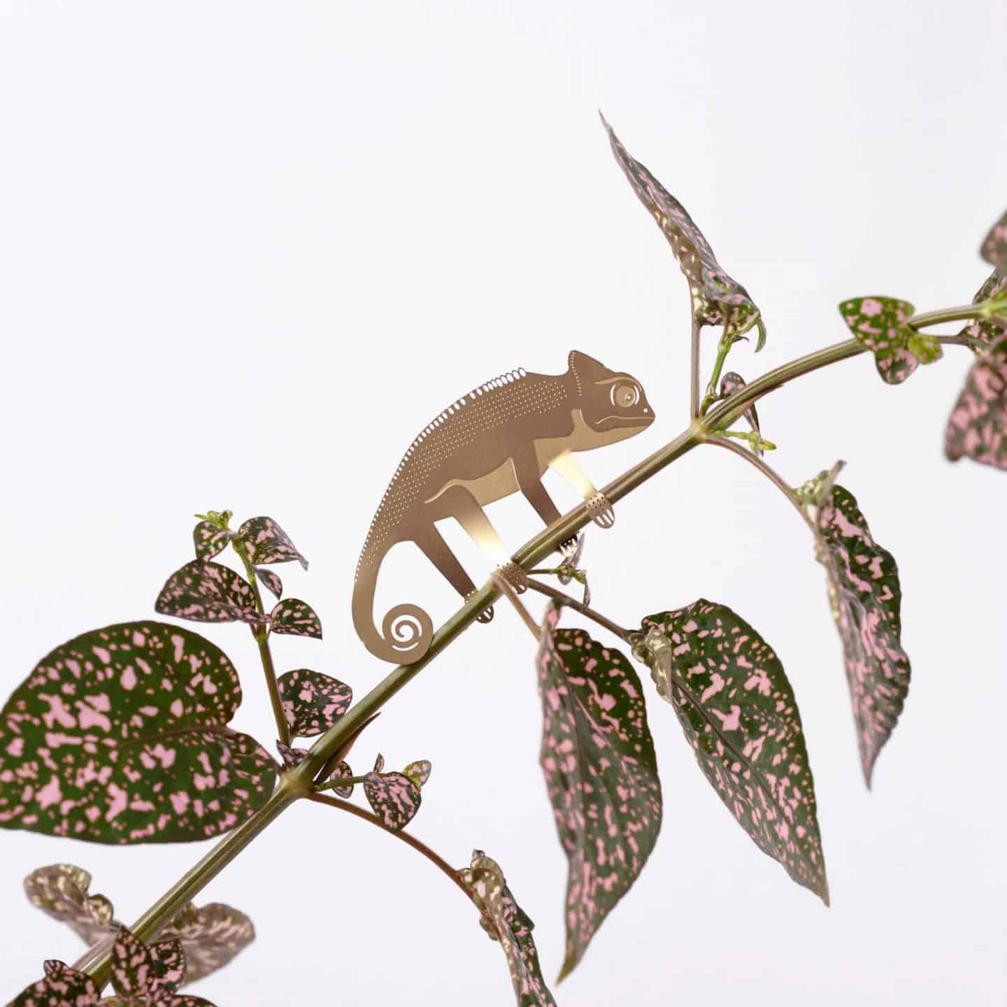 Gifts for plant lovers. These brass animal decorations from Another Studio can be hung on trees and plants 