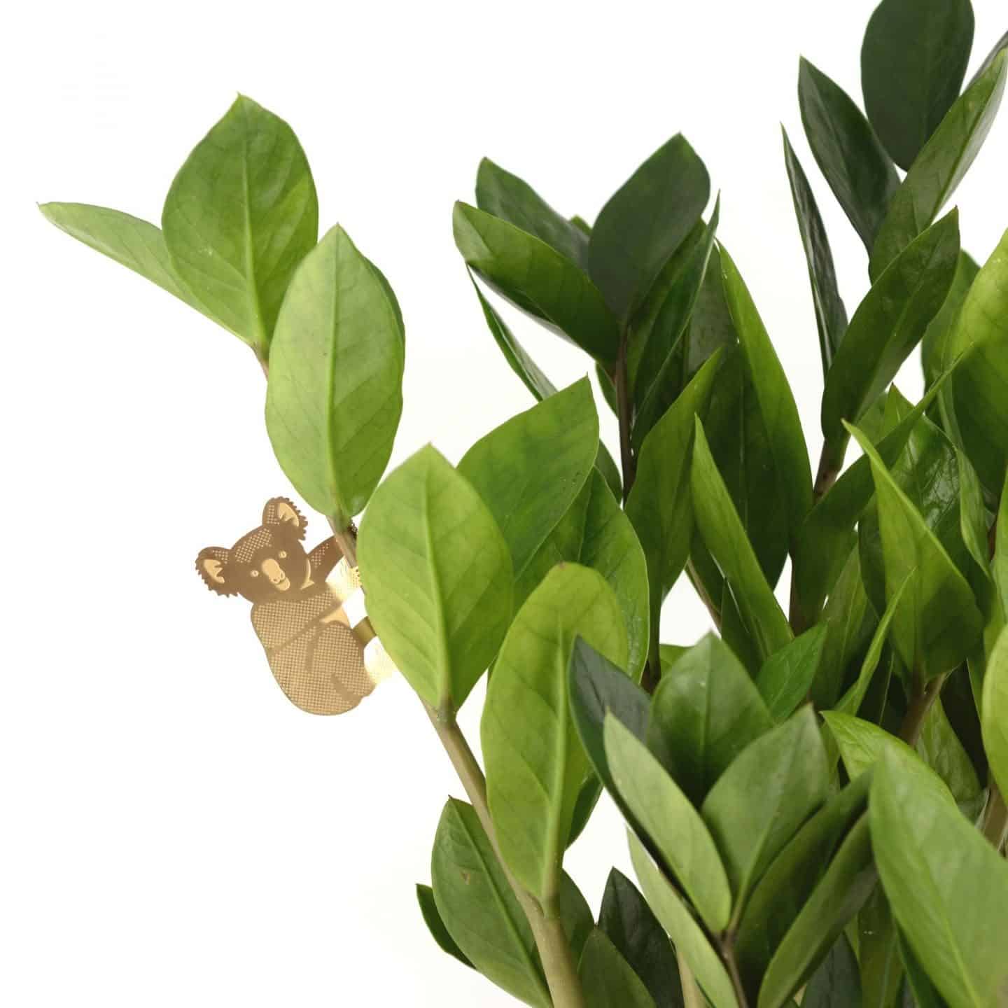 Gifts for plant lovers. These brass animal decorations from Another Studio can be hung on trees and plants 