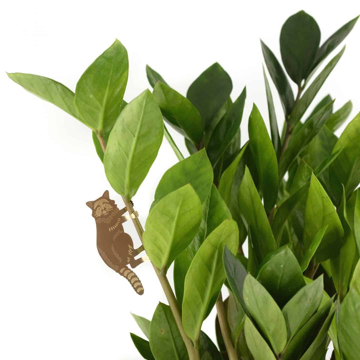 Gifts for plant lovers. These brass animal decorations from Another Studio can be hung on trees and plants 