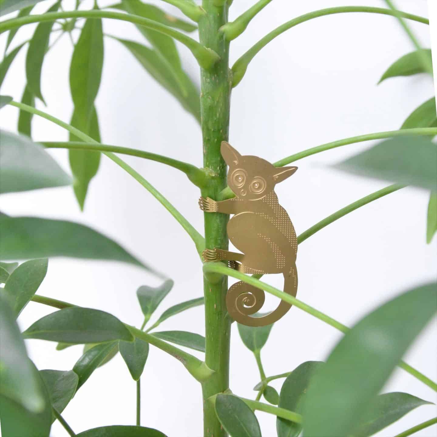 Gifts for plant lovers. These brass animal decorations from Another Studio can be hung on trees and plants 