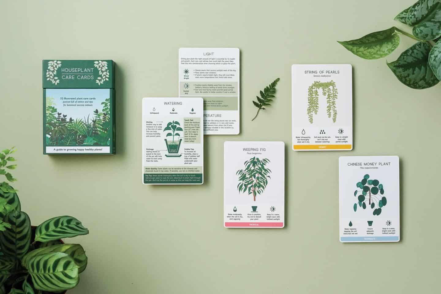 Gifts for plant lovers - these plant care cards from another studio offer tips and advice for caring for your plants