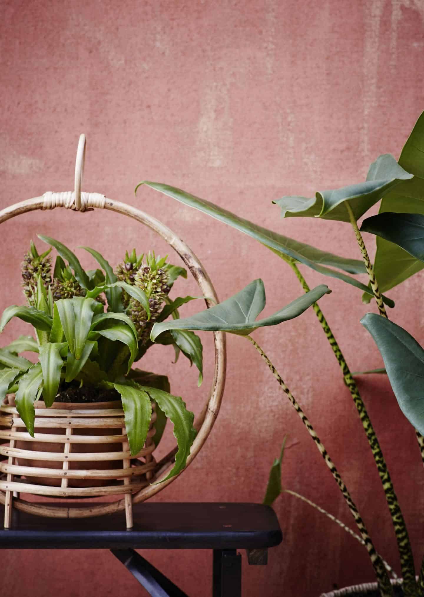 Bohemian Style from Madam Stolz with plants in bamboo holders