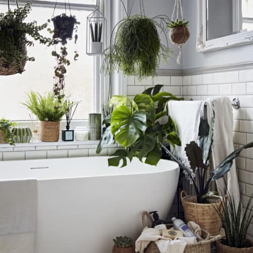 A white bathroom with freestanding bathtub surrounded by plants. Plants can be used to add texture to the bathroom. Image by Dobbies