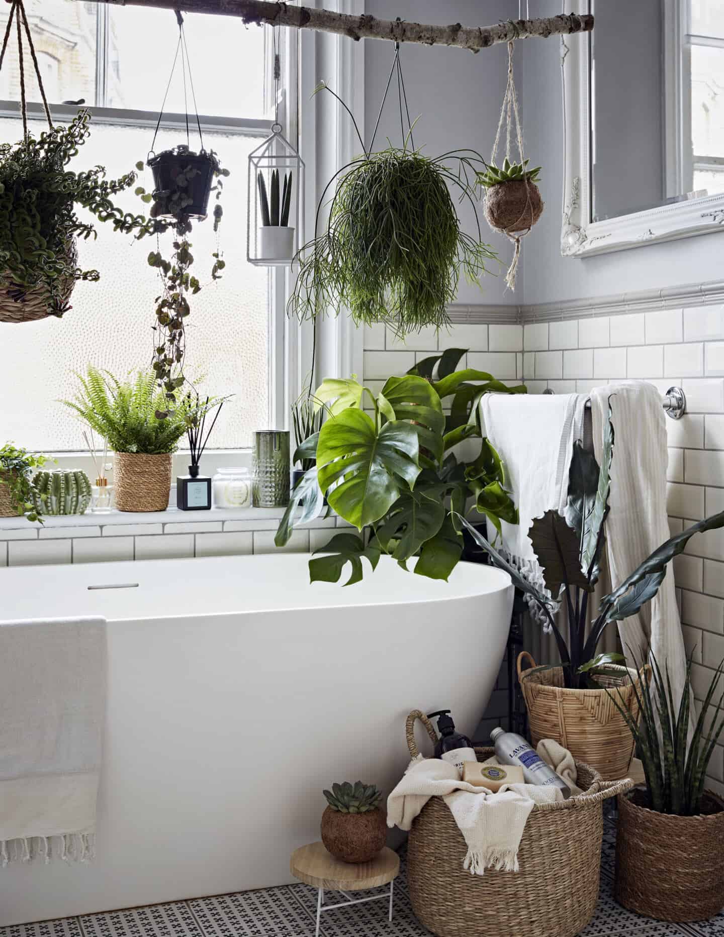 Plants are a great way to bring texture into the bathroom