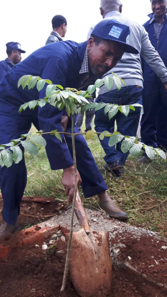 Brabantia & WeForest Love Nature Campaign