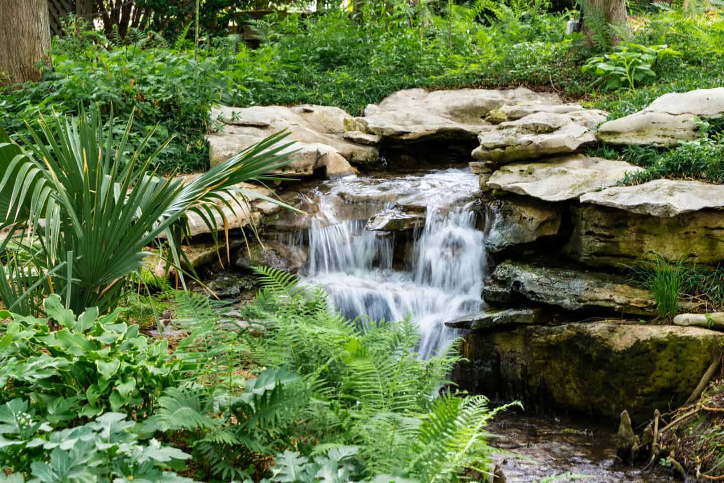 A small waterfall leads into a stream