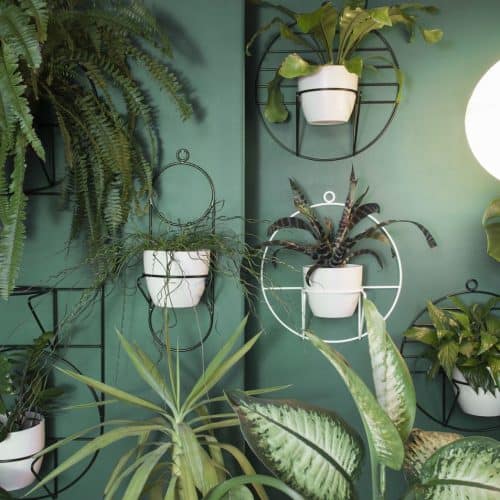 Bujnie minimalist design-led plant holders and stands