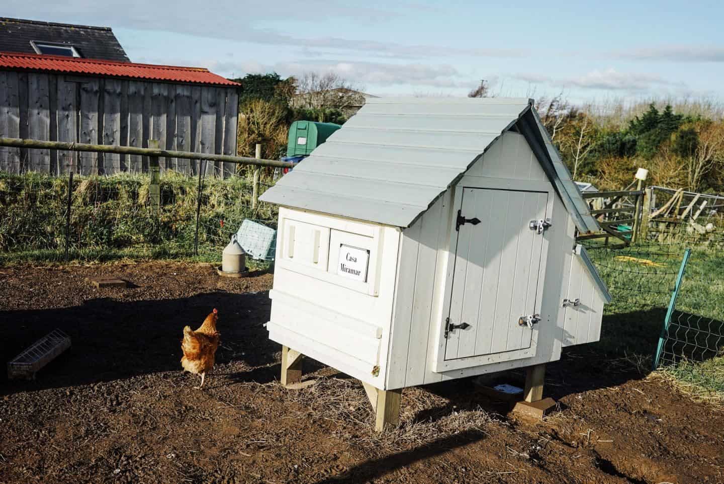 enamel house signs by Ramsign seen on a chicken coup