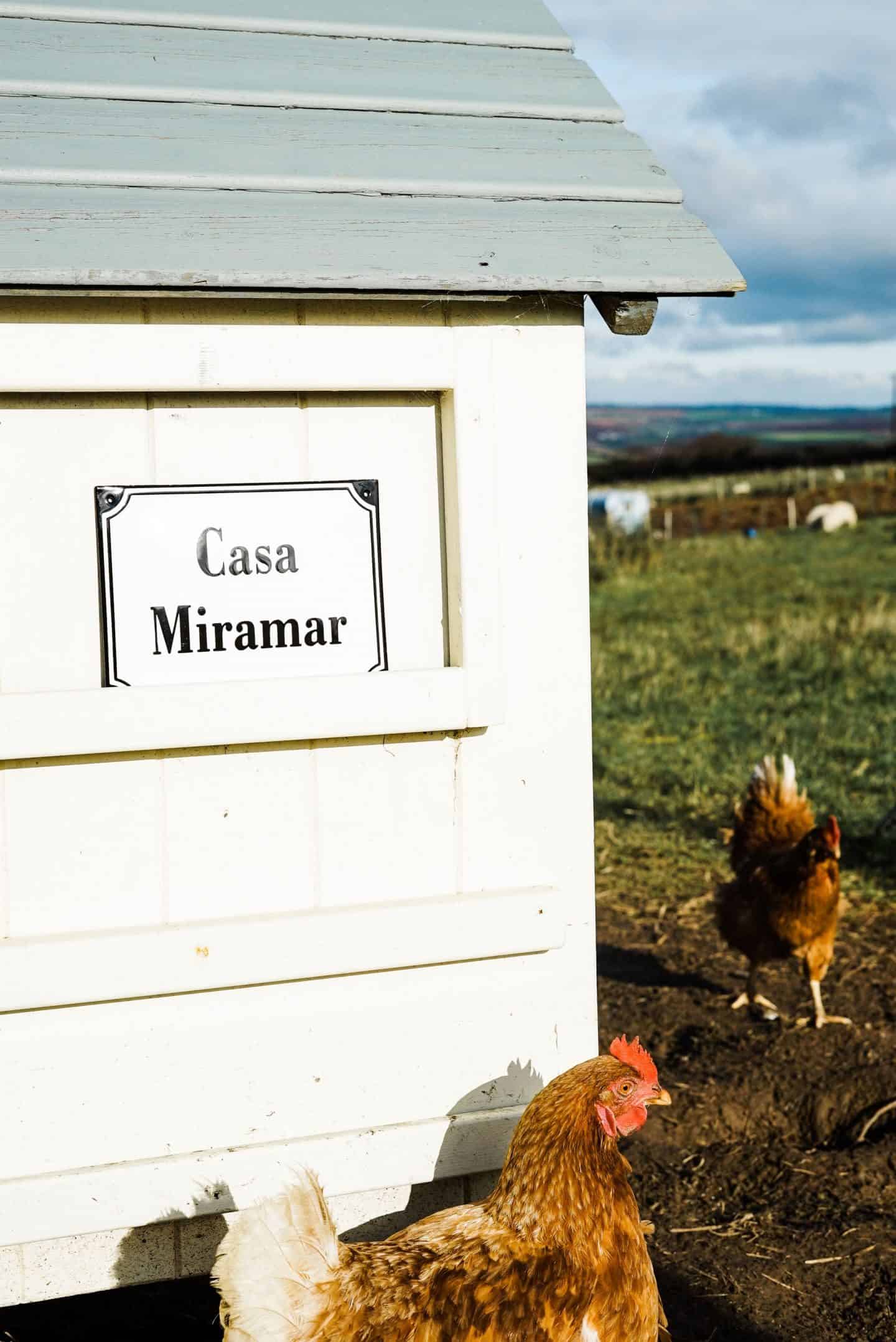 enamel house signs by Ramsign seen on a chicken coup