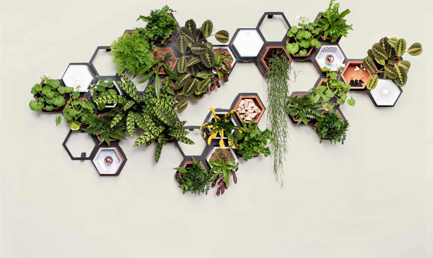 A living wall is a great way to create natural home decor