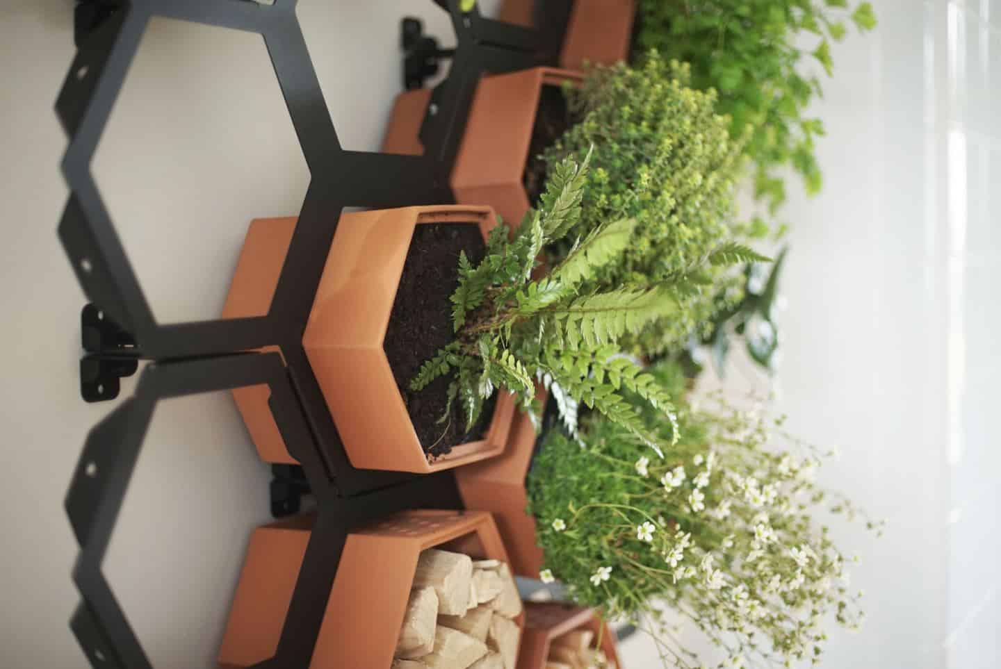 Chalk & Moss Horticus interior vertical garden kit