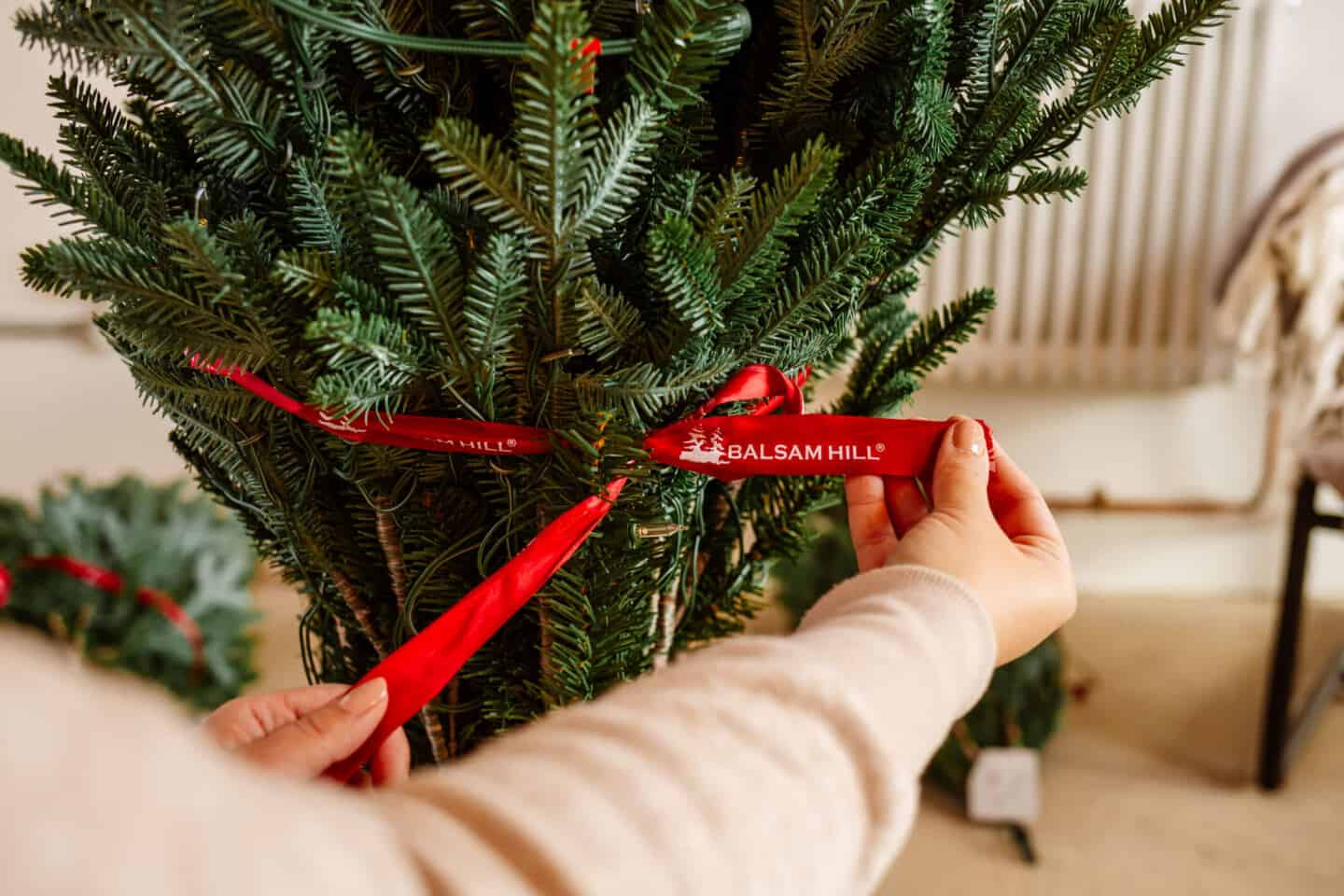 Hands untie the ribbon that is tied around the base of an artificial Christmas tree from Balsam Hill