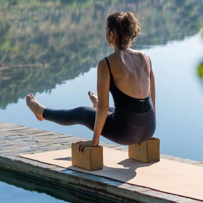 A young woman holding her own body weight up on two cork yoga blocks