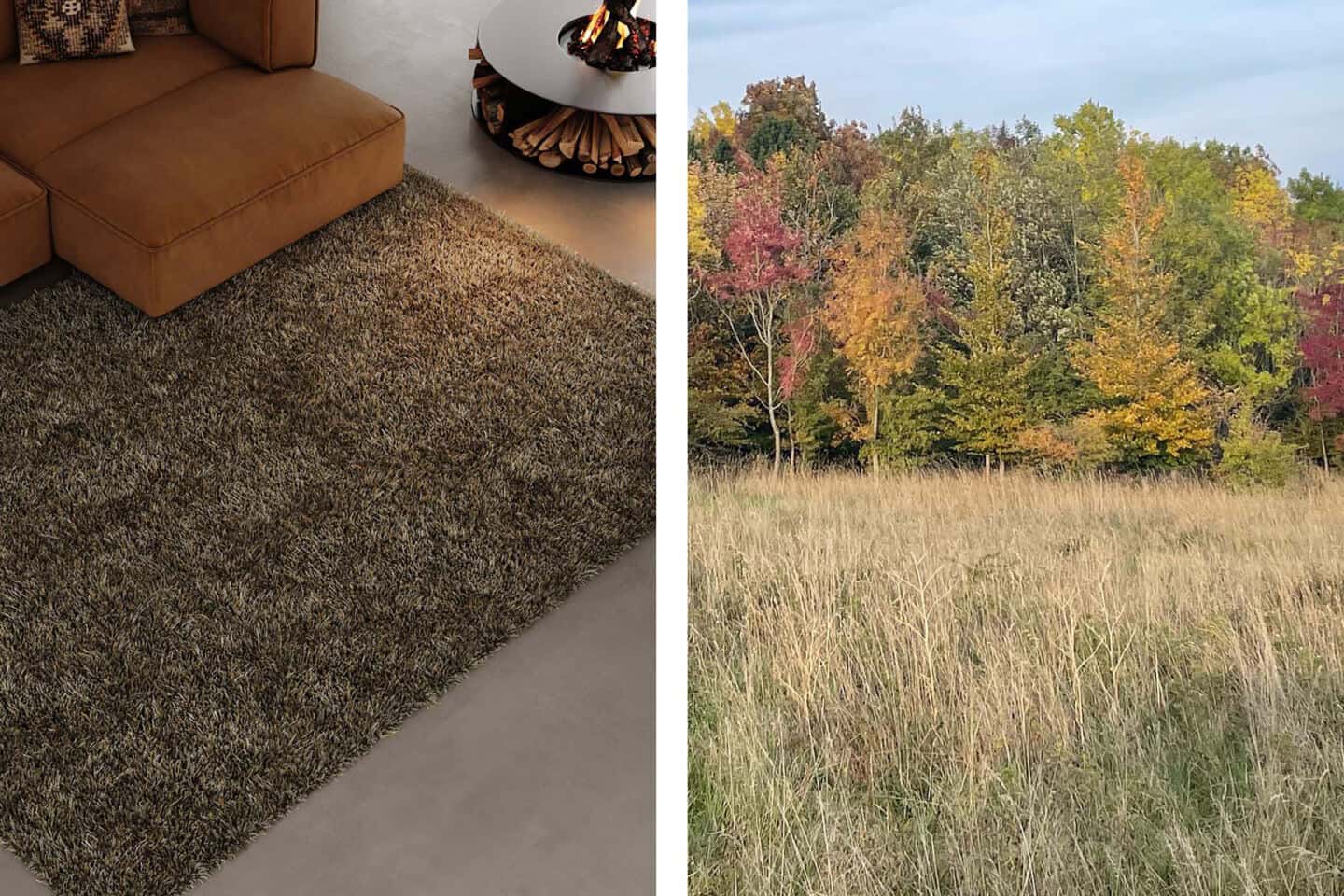 a photo of a rug next to a forest showing how a biophilic home can take inspiration from nature