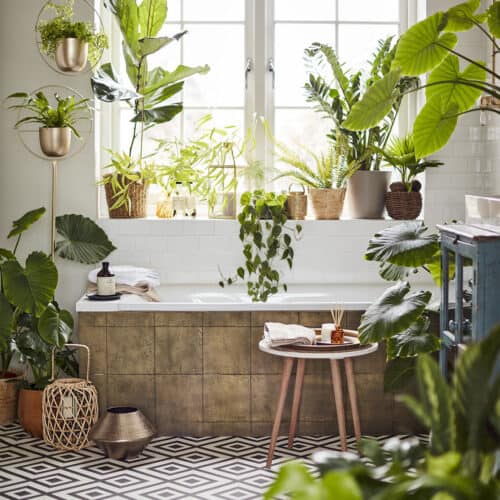 Bathtub in a bathroom which is full of plants.