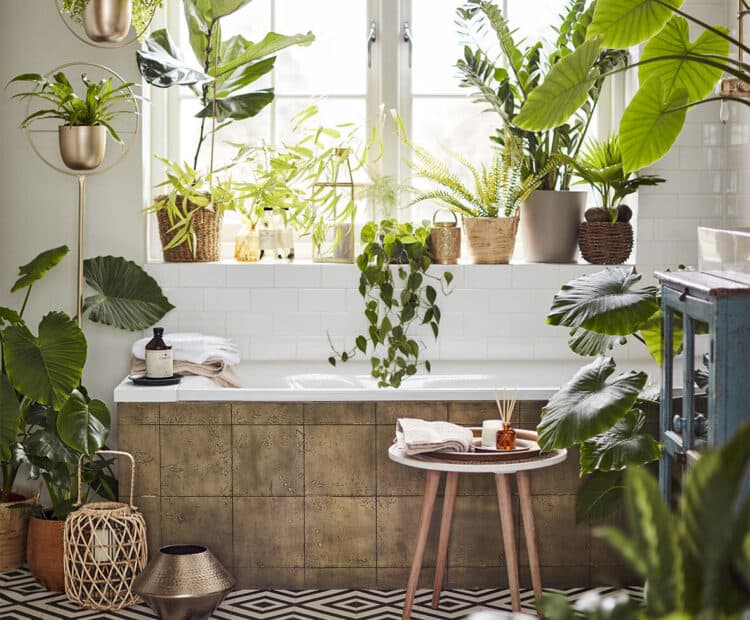 Bathtub in a bathroom which is full of plants.