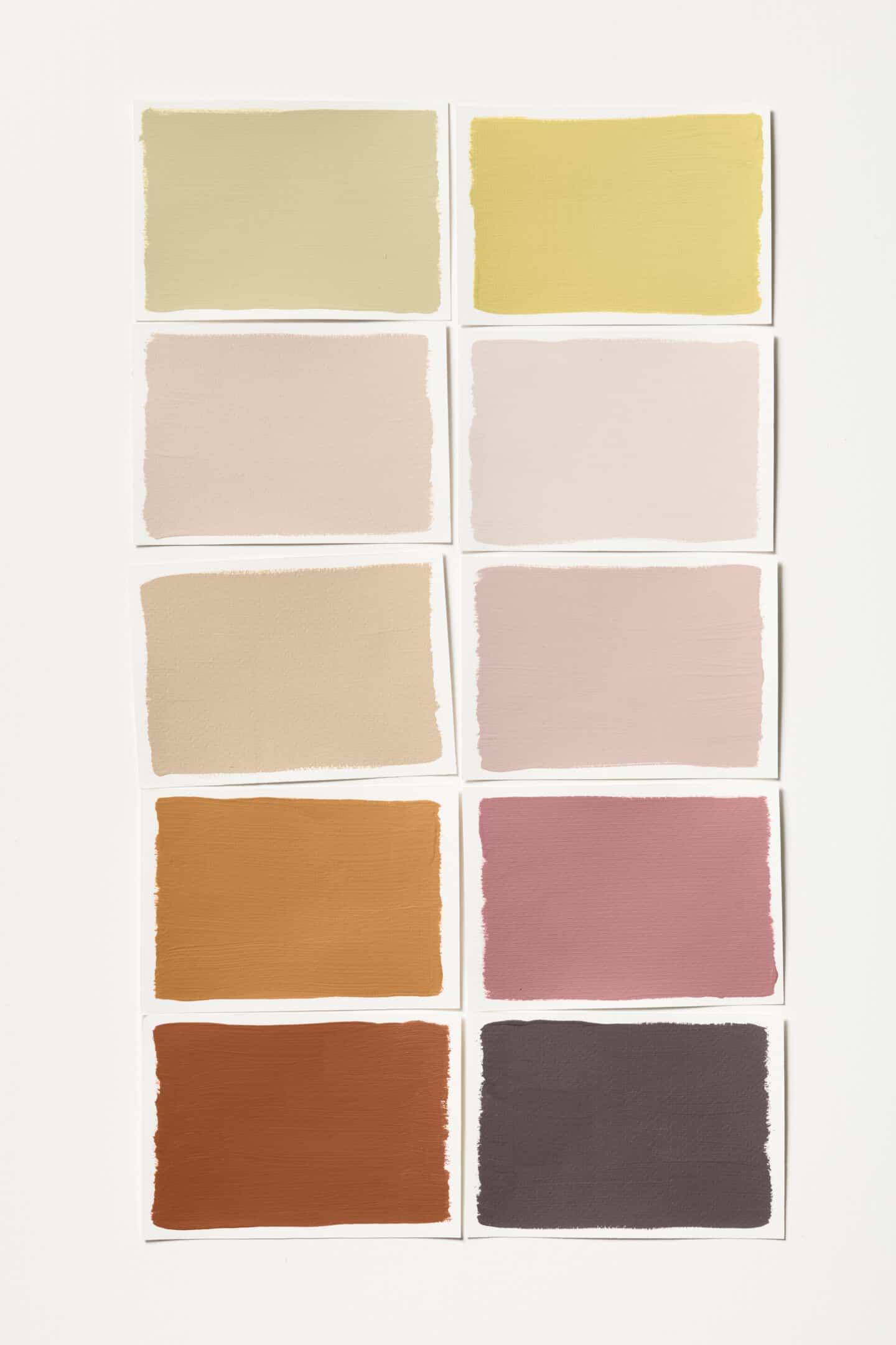 Dulux Colour of the Year 2023 Buzz colour palette