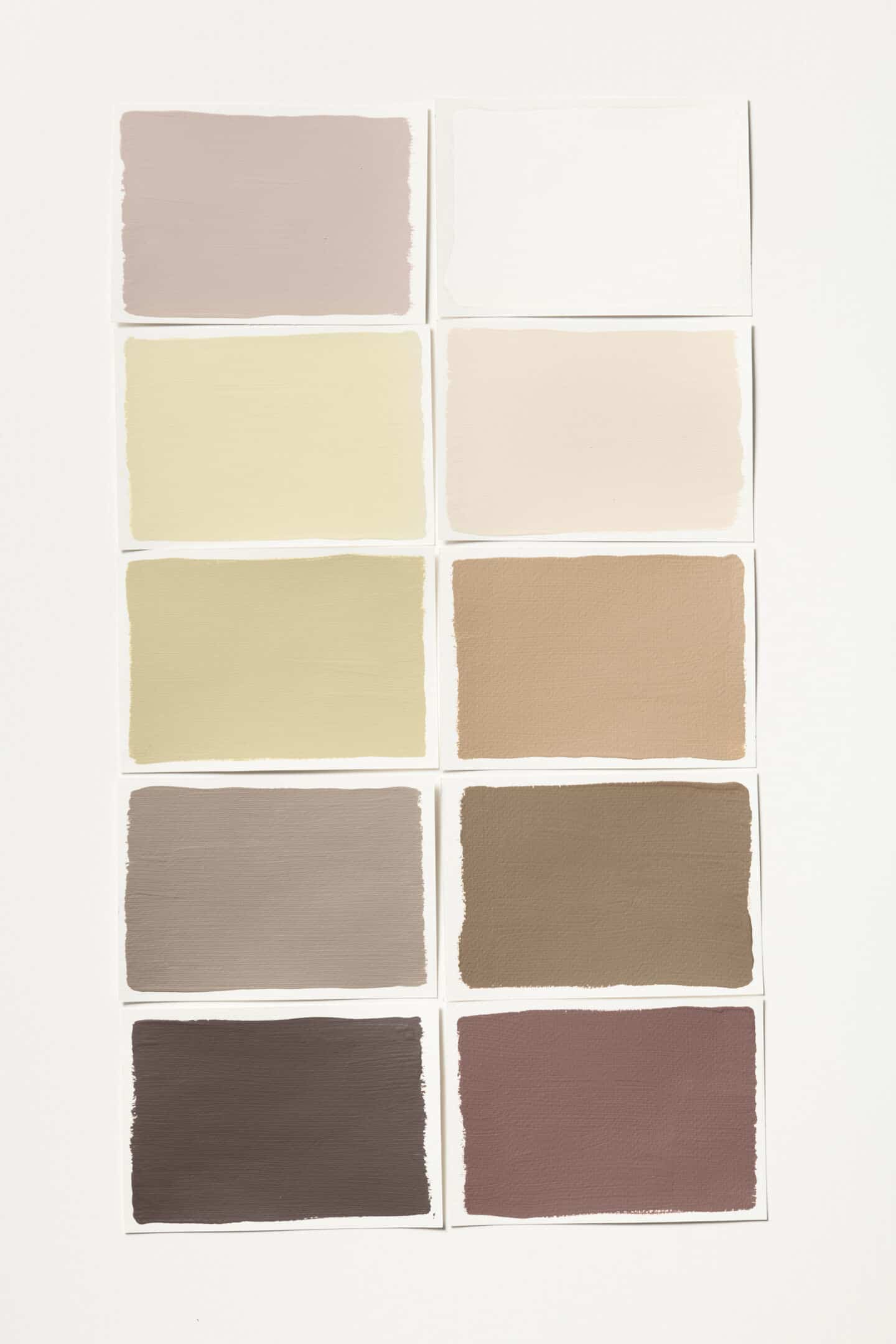 Dulux Colour of the Year 2023 Raw colour palette