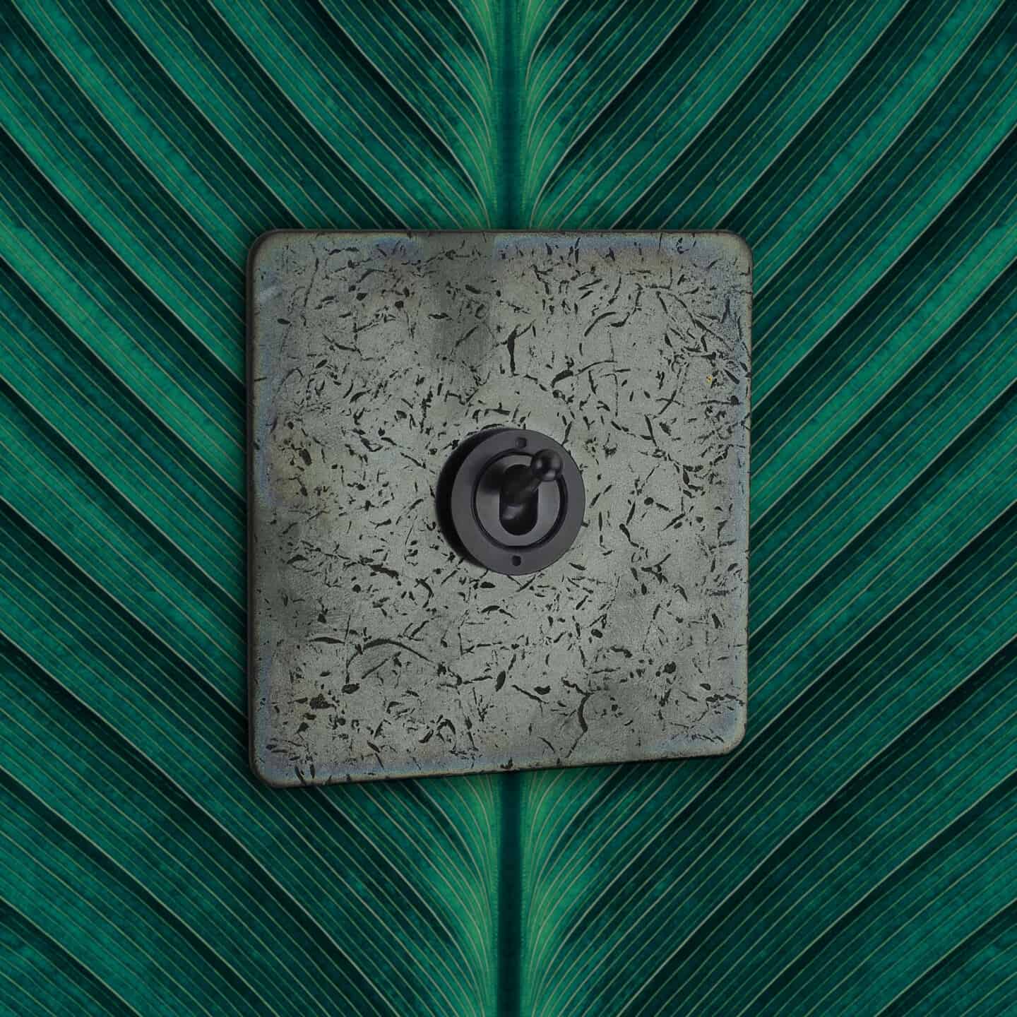 Focus SB nature-inspired light switch in black bronze