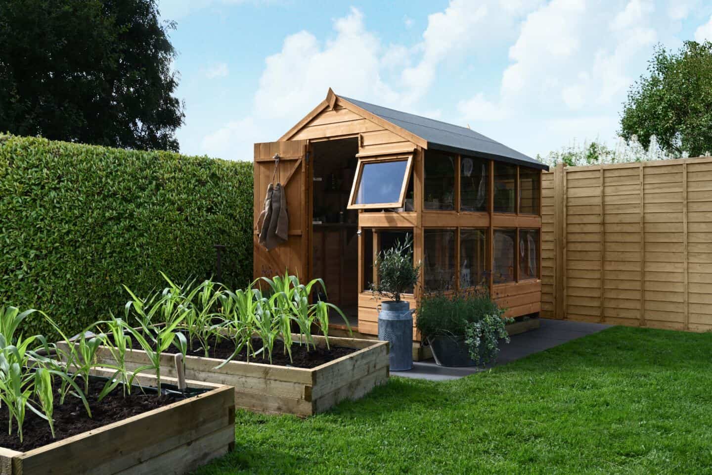 A garden shed used as a potting shed next to lots of raised beds in the garden