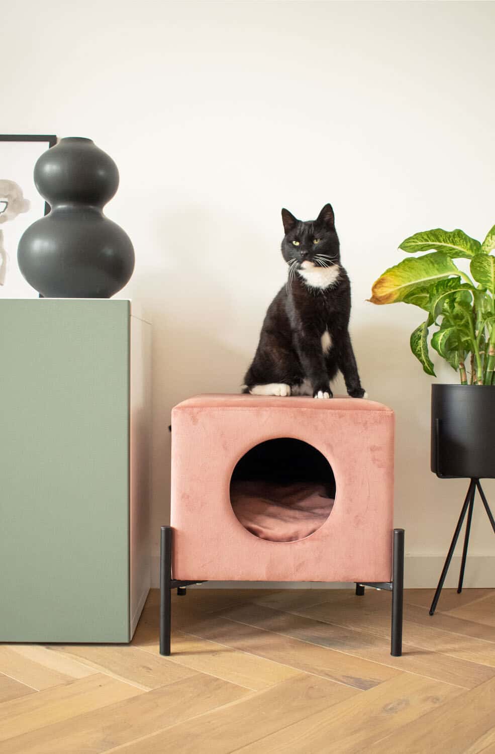 A pink plush cat bed from The French Bedroom Company with a black cat sat atop