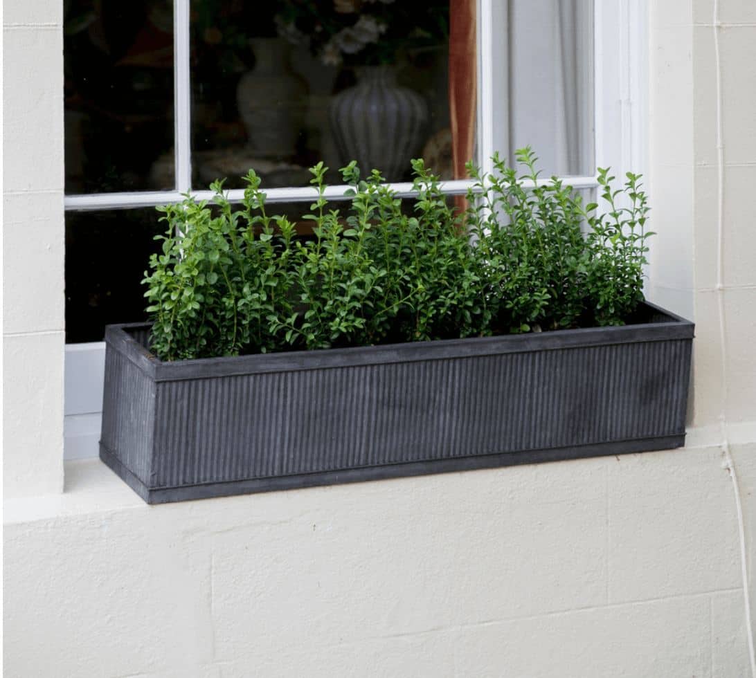 A white home with a window box full of green plants 