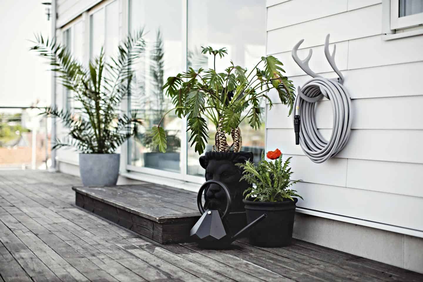 Garden Glory - Stylish garden equipment - grey garden hose wall-mounted on antlers