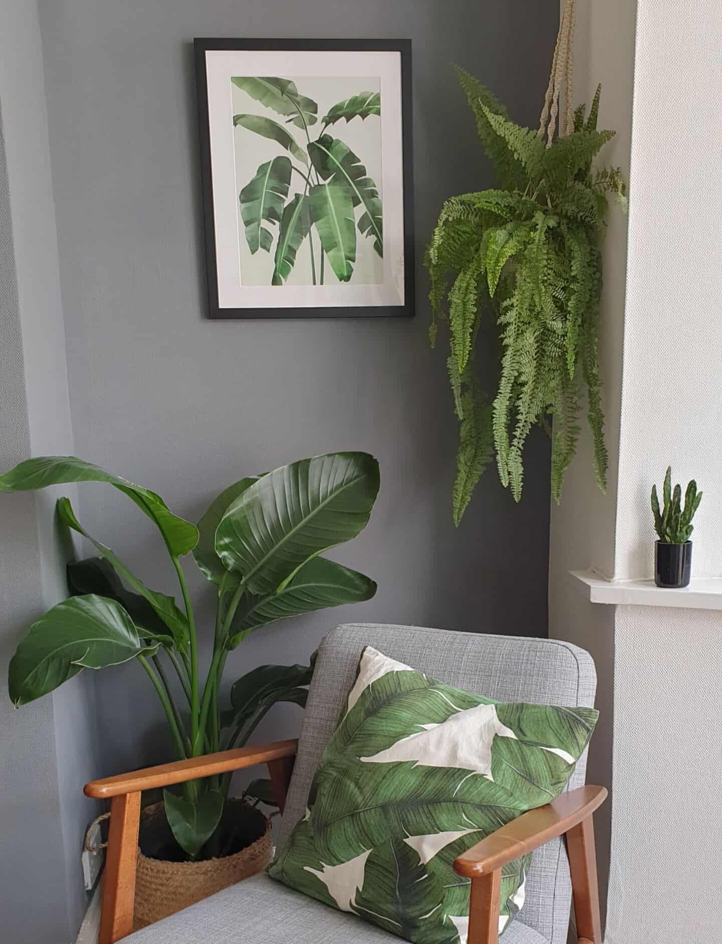 Botanical artwork inspired by Travel from Greenlili hung on a grey living room wall avove an ocassional chair and surrounded by plants