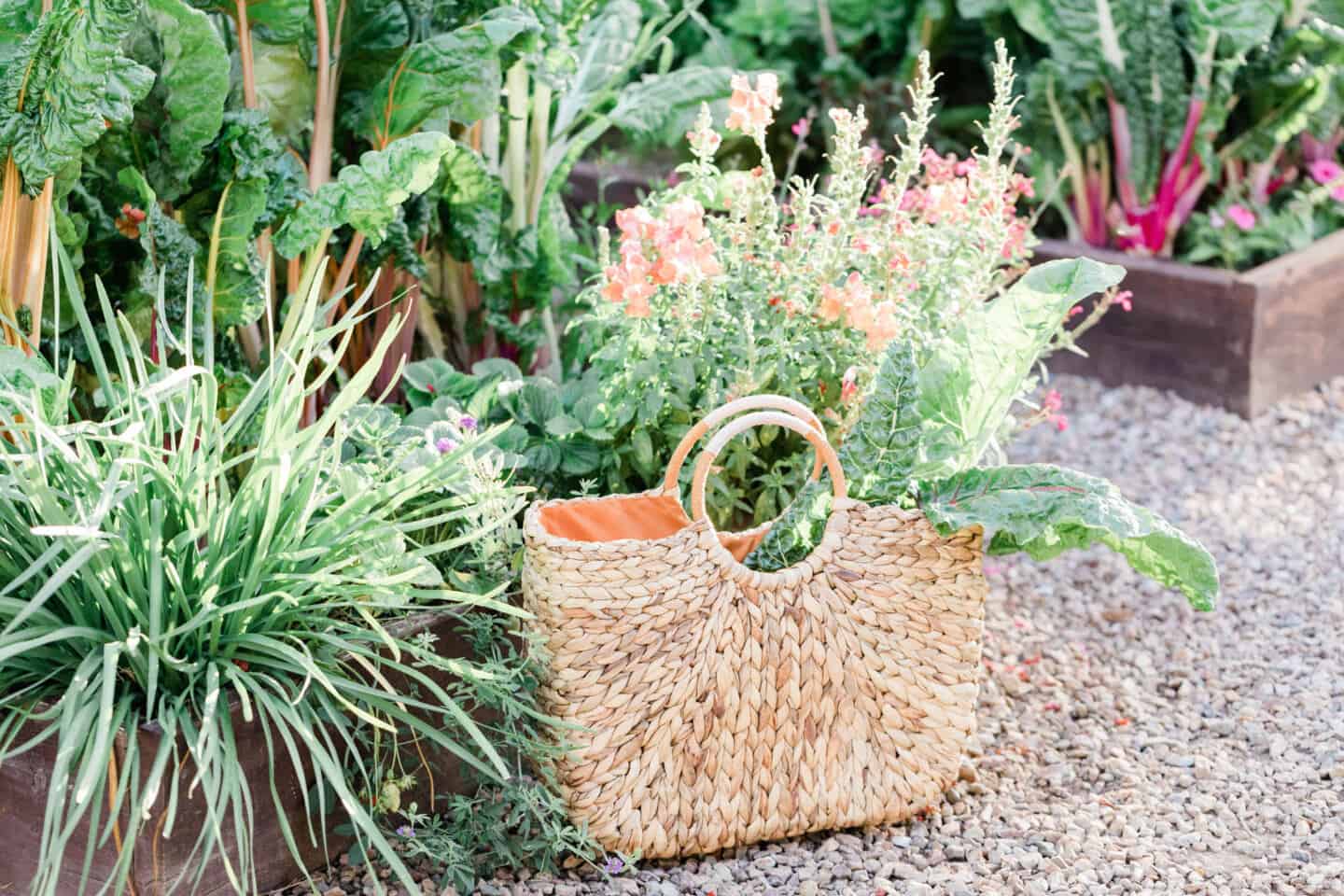 A basket in a vegetable garden