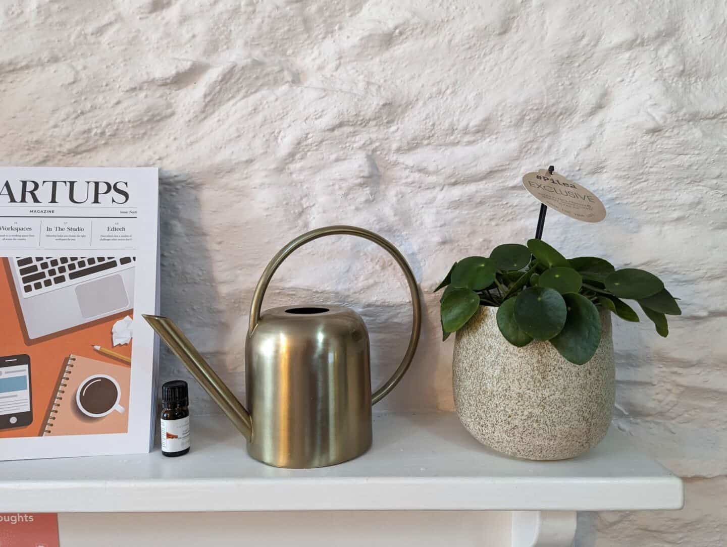 A chinese money plant on a mantlepiece next to a brass watering can