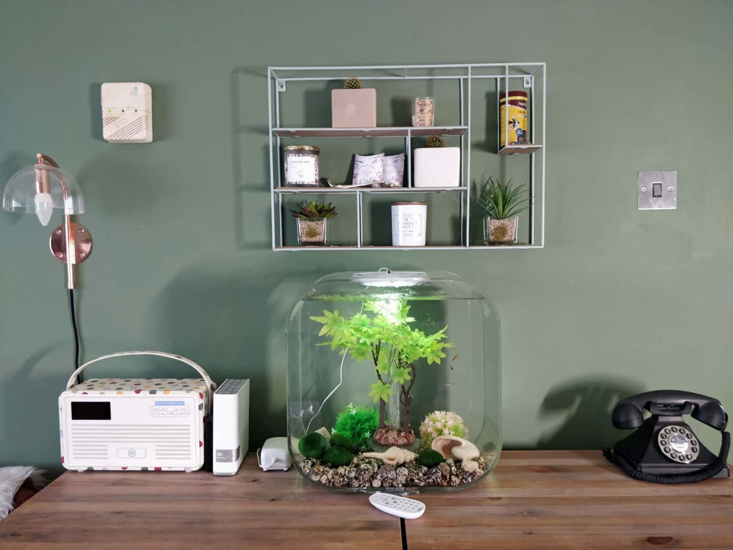 30l biOrb Life fish tank on a sideboard in a living room with green walls behind