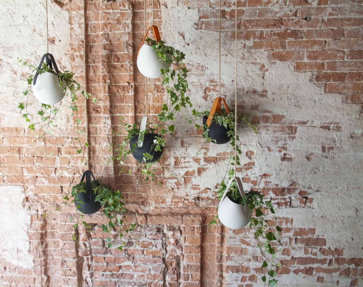 Dutch design brand JOKJOR SLING hanging plant holder