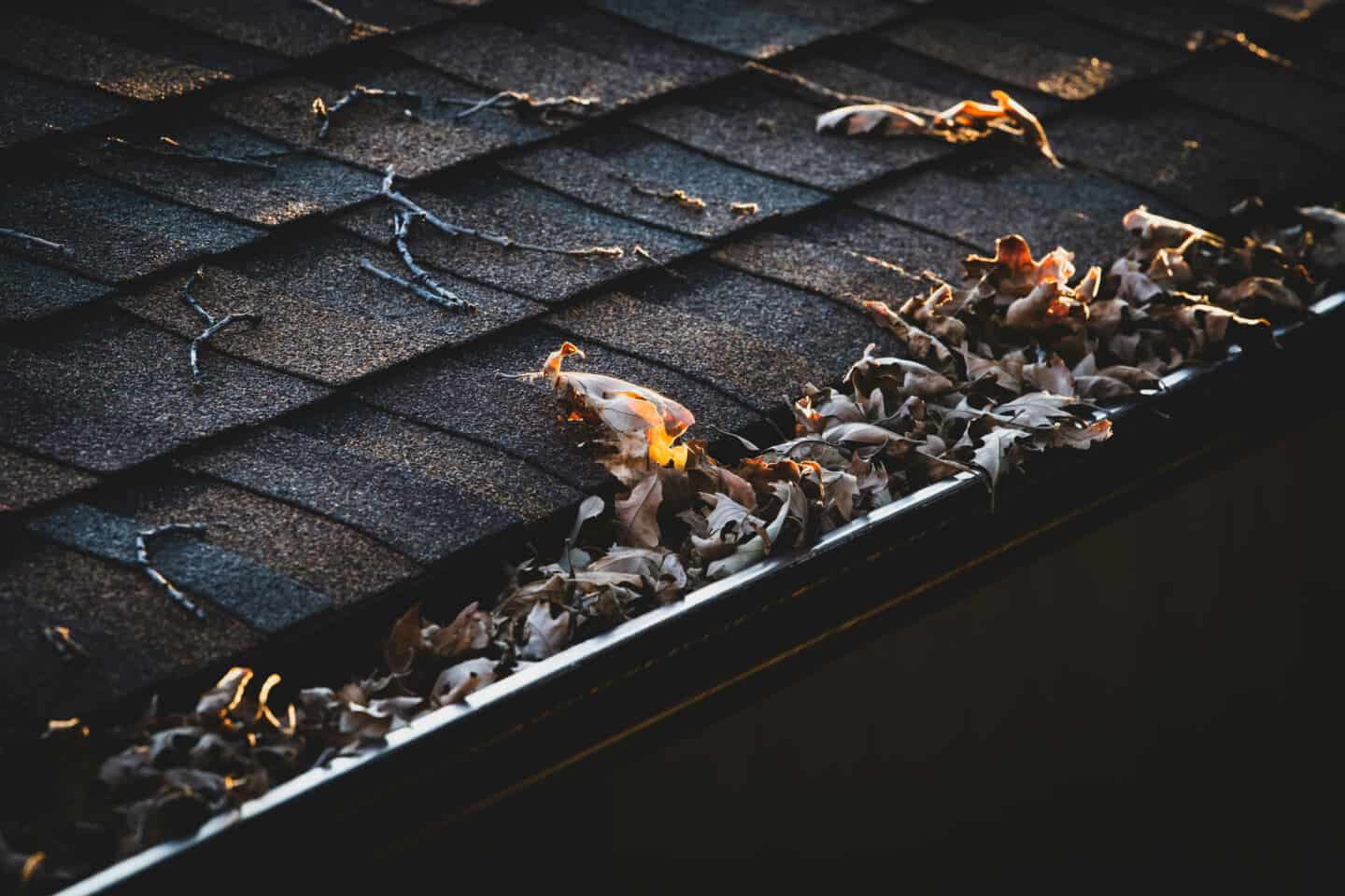 Gutters on a house full of leaves