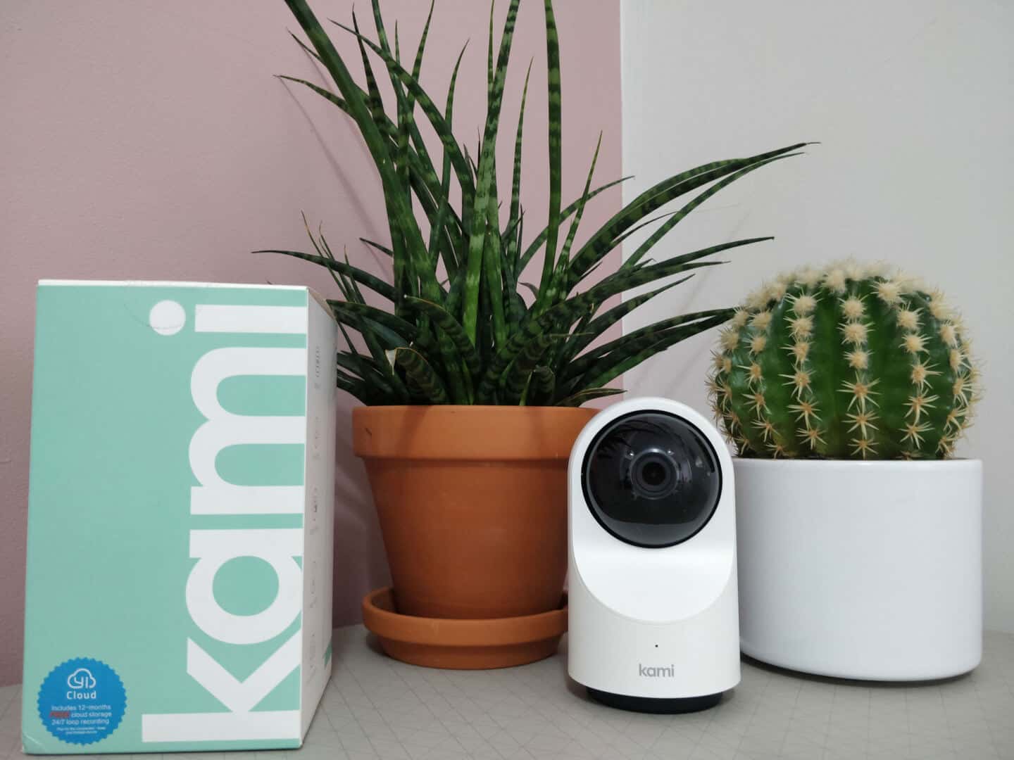 Kami indoor home security camera on a table between two plants with the empty box.