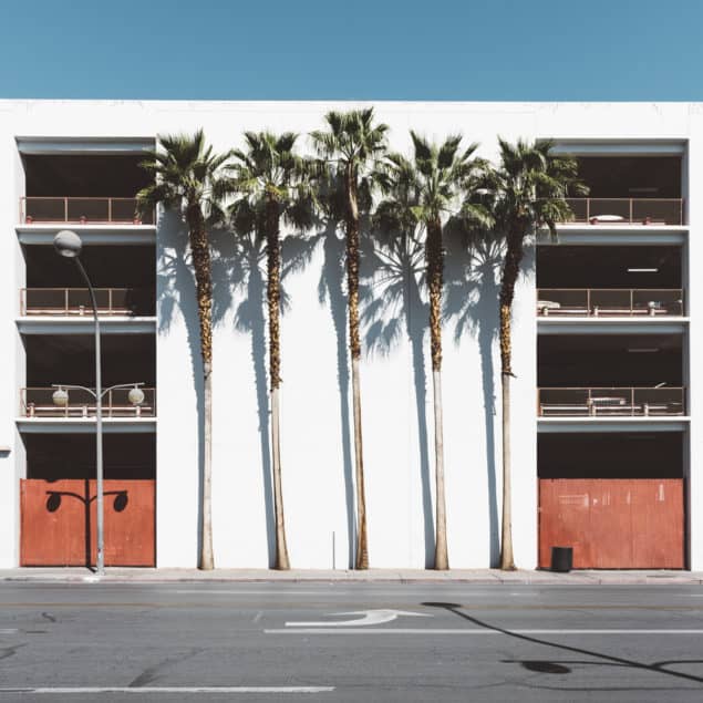 Kate Ballis - Las Vegas Palms art print from Lumitrix