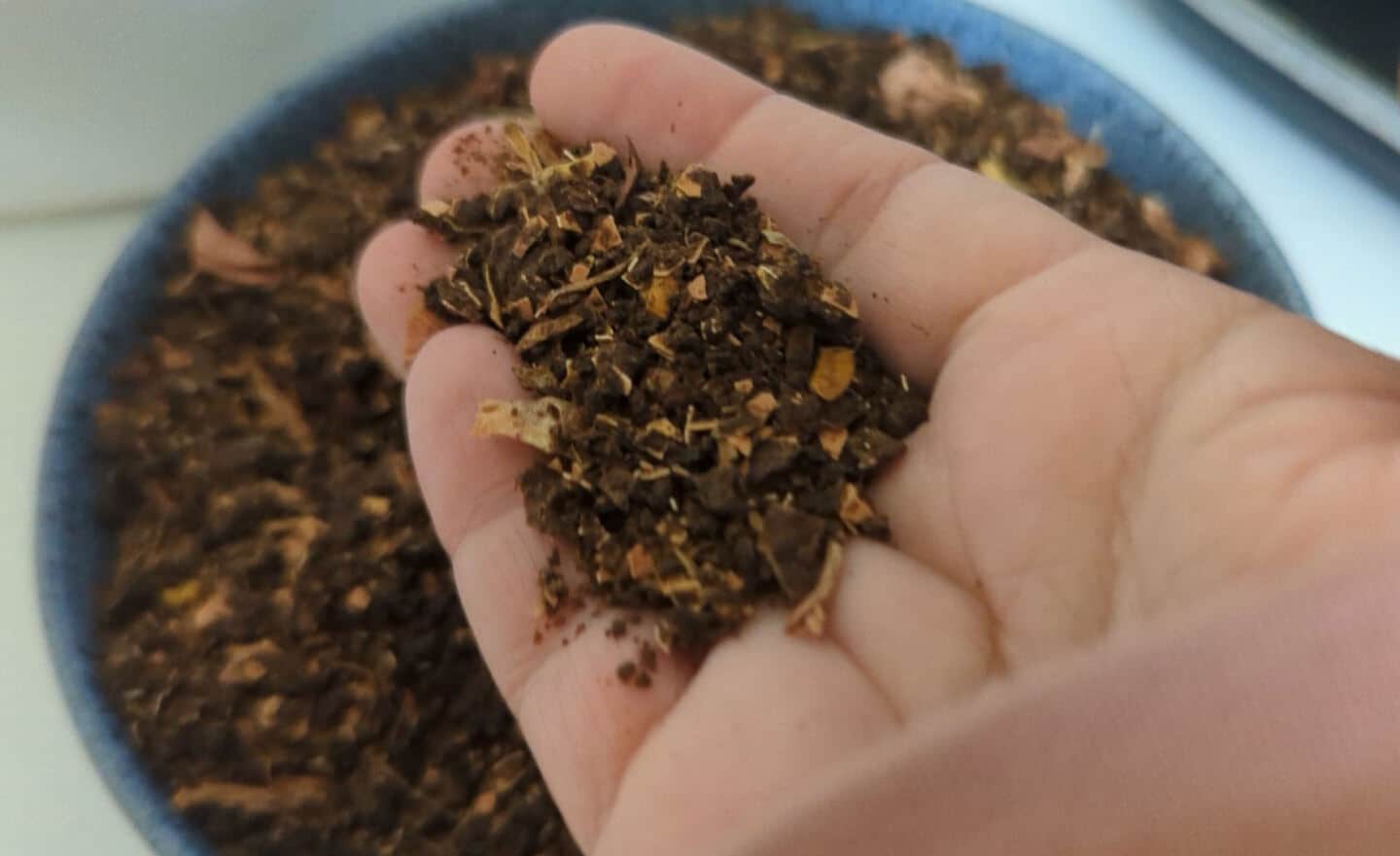 A hand holding some Lomi Compost above a bowl full of compost