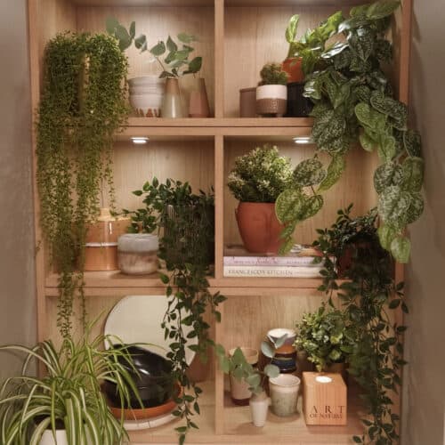 Square shelving in a magnet kitchen full of plants and decorative objects