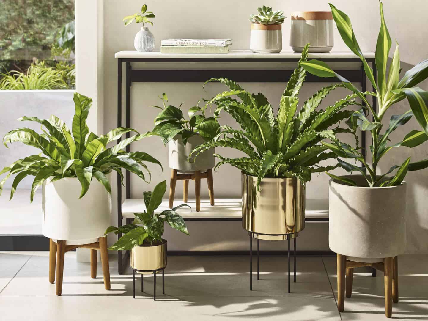 Botanicals are a SS20 interiors trend by M&S. Plants invite nature in interiorsand these plant pots on legs add height to your plant gang.